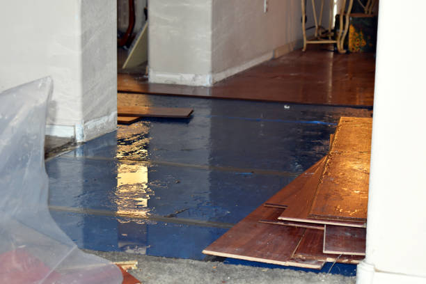 Professional Burst Pipe Cleanup technician working in Luck, WI